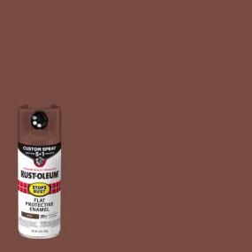 12 OZ BRN Spray Paint