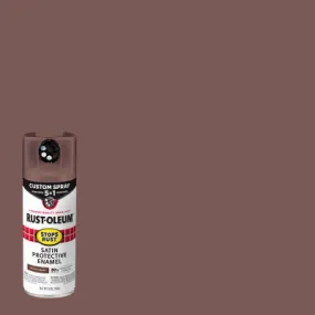 12 OZ Ches Spray Paint