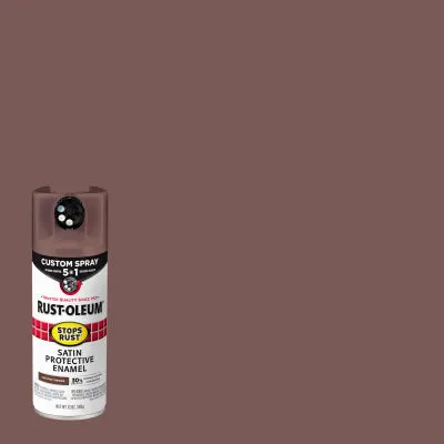 12 OZ Ches Spray Paint