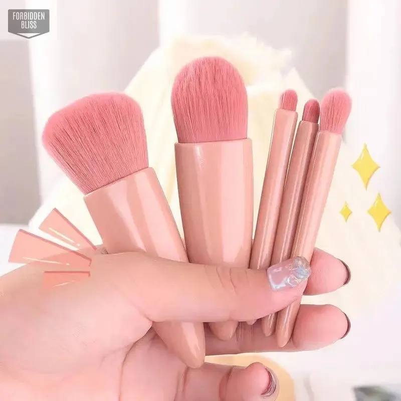 5pcs Makeup Brushes Set With Mirror