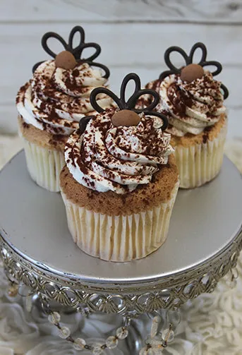 CC-000U Tiramisu Cupcake