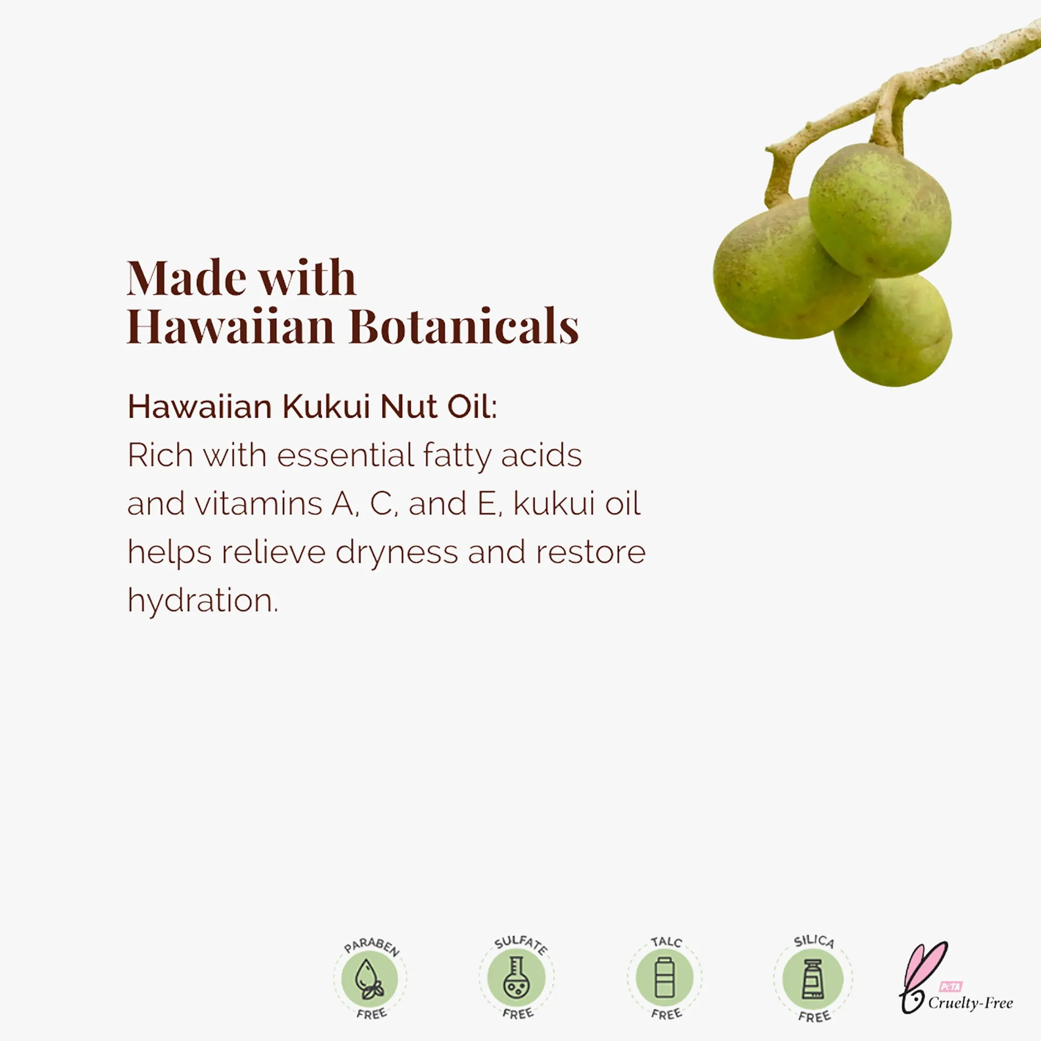 Hawaiian Lip Balm Set