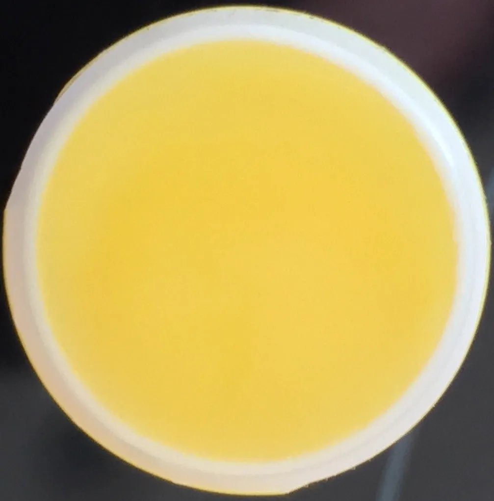 Pina Colada Flavored Lip Balm Kissing Stick