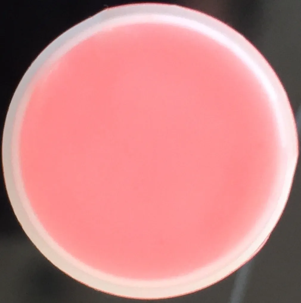 Watermelon Flavored Lip Balm Kissing Stick